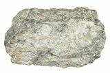 Polished Lunar Meteorite ( g) - Laayoune #266575-1